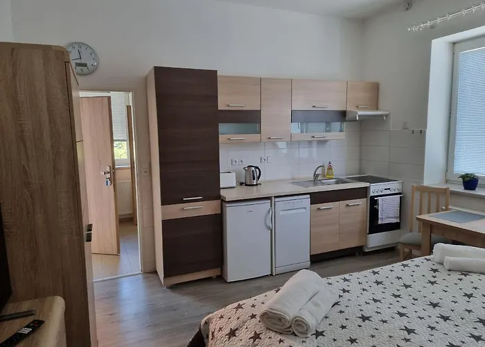 Appartement Garsoniera Dukla 289